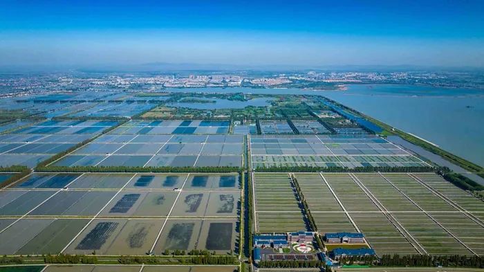 航拍高淳固城湖螃蟹核心區(qū)。高淳區(qū)融媒體中心供圖